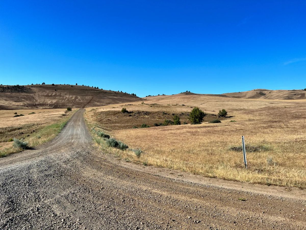 Level Property, Nice Views - Image 3