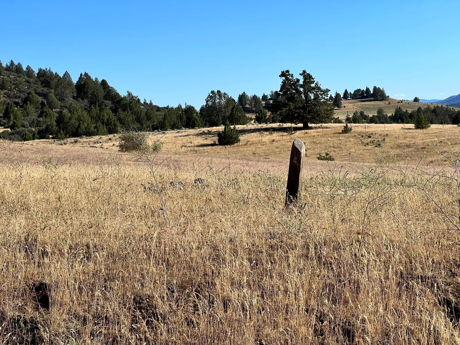 Level Property, Nice Views in Siskiyou County, CA