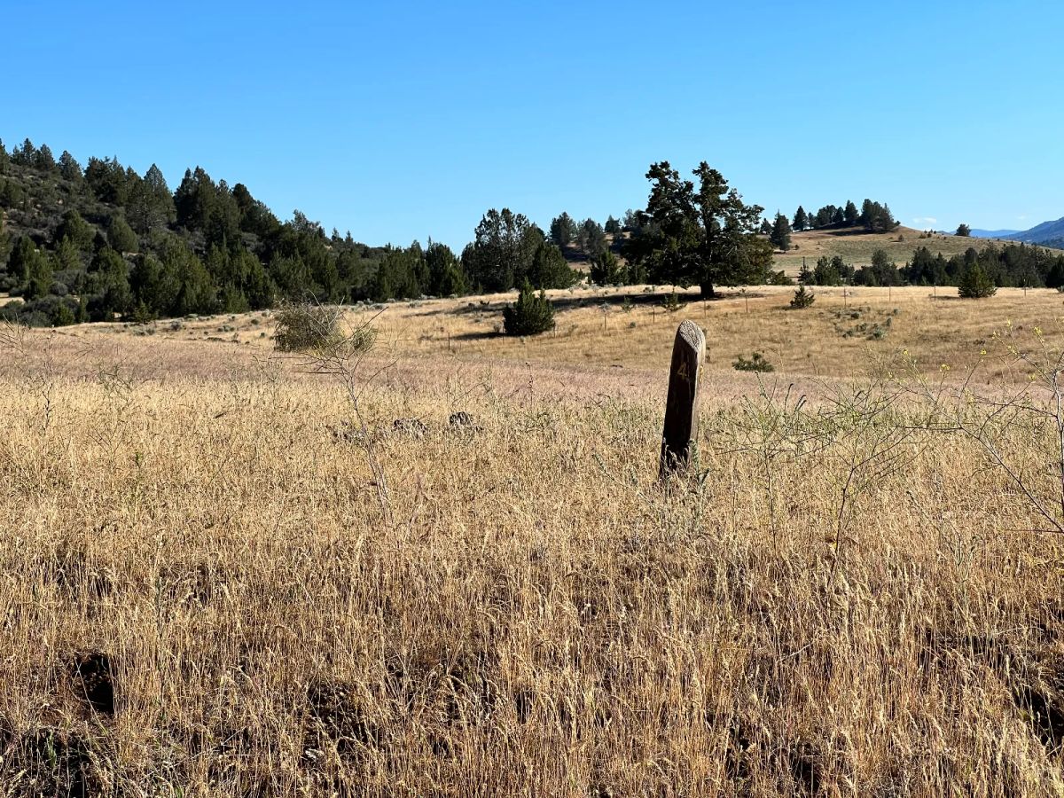 Level Property, Nice Views - Image 4