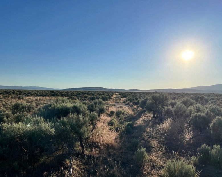 Three Lot Combo Deal in Lassen County, CA