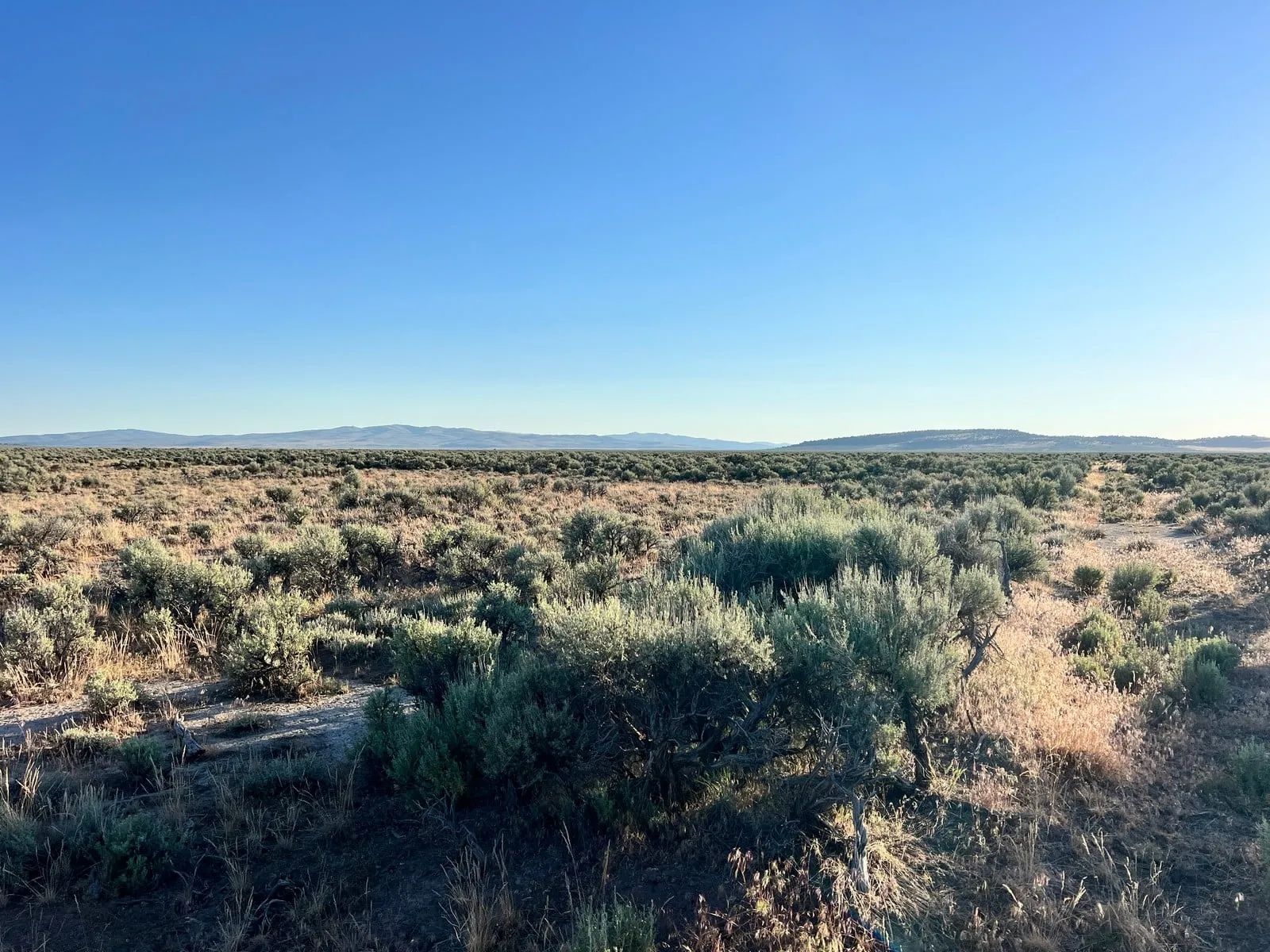 Three Lot Combo Deal in Lassen County, CA