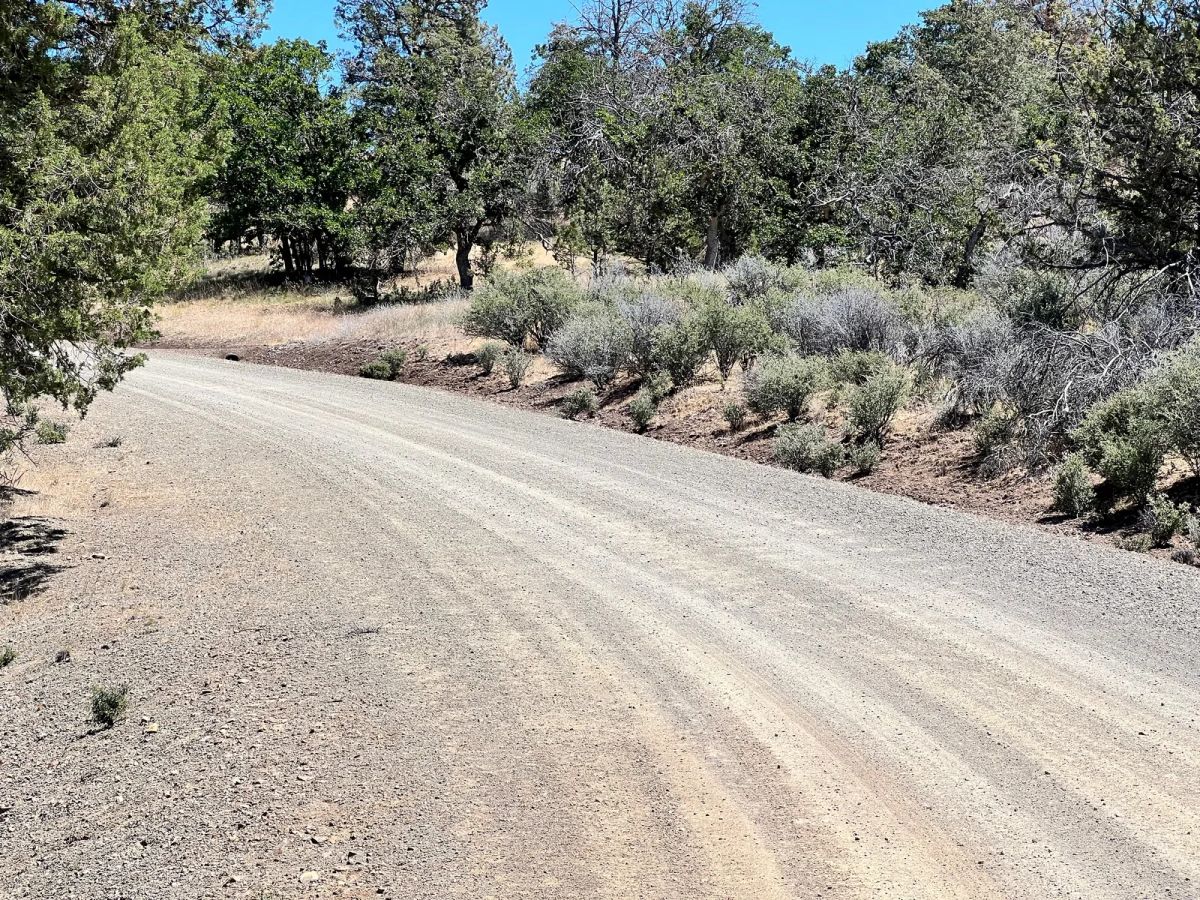 Decorative background for Corner Property near Klamath River image 5