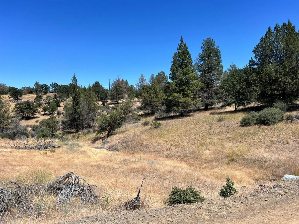 Decorative background for Corner Property near Klamath River image 7