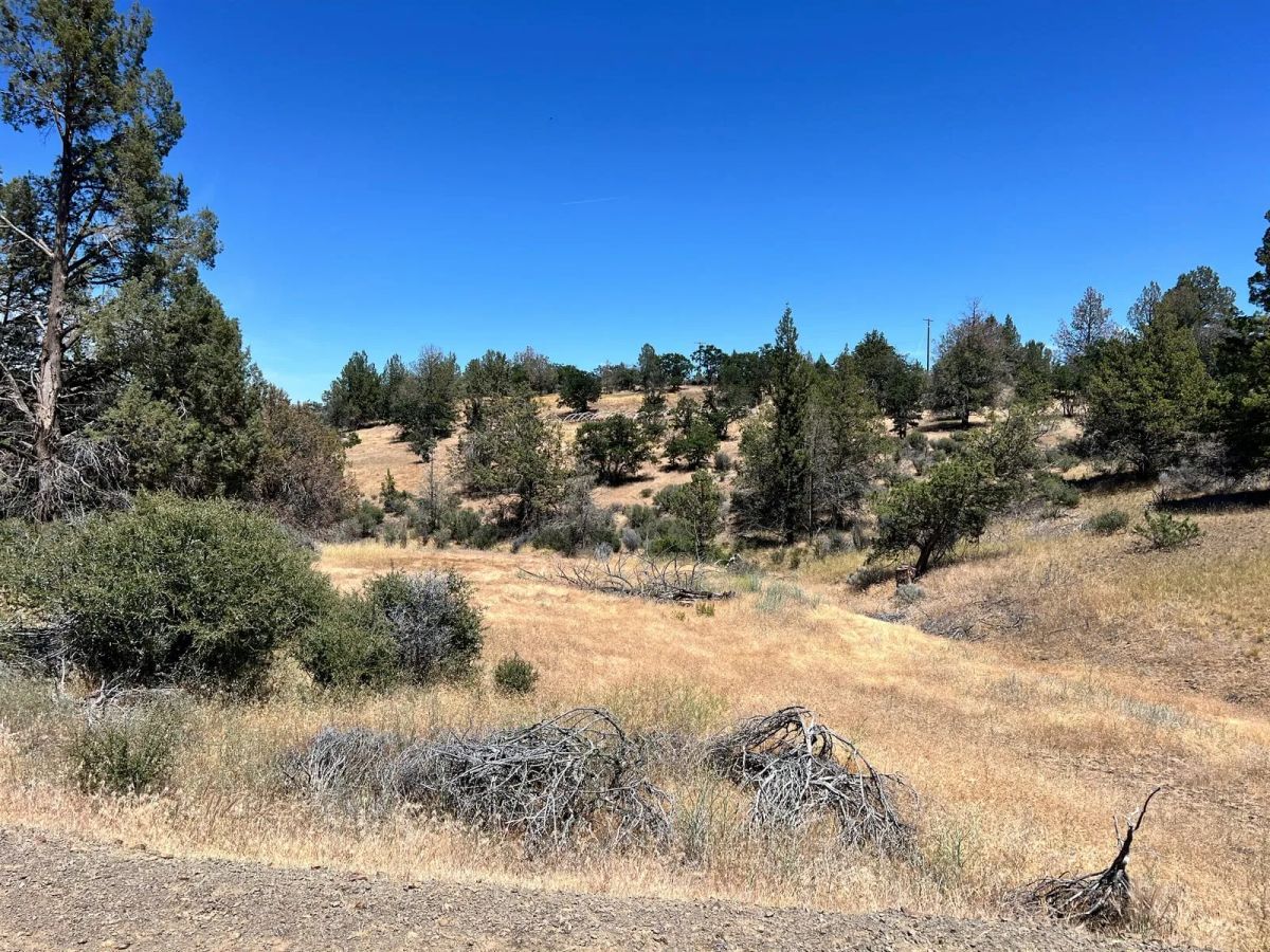 Decorative background for Corner Property near Klamath River image 8