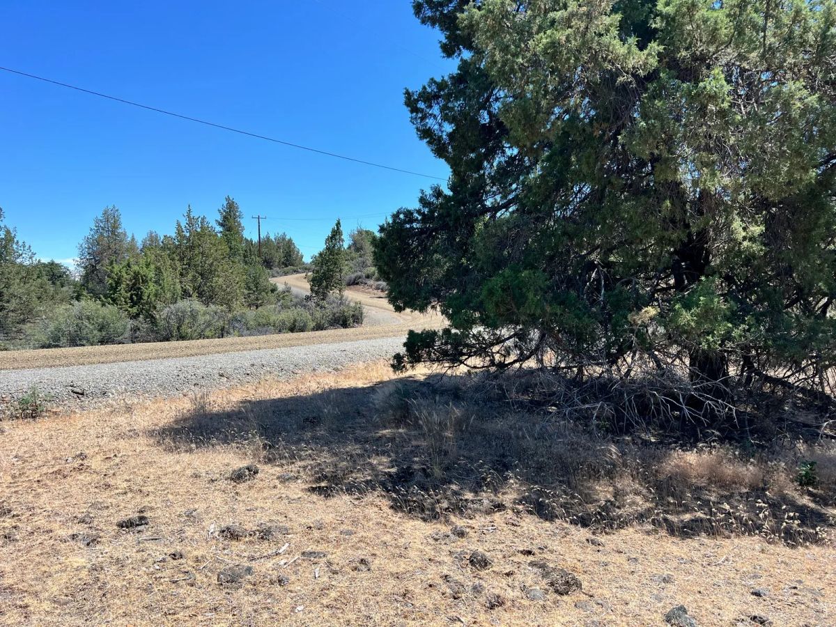 Decorative background for Corner Property near Klamath River image 12