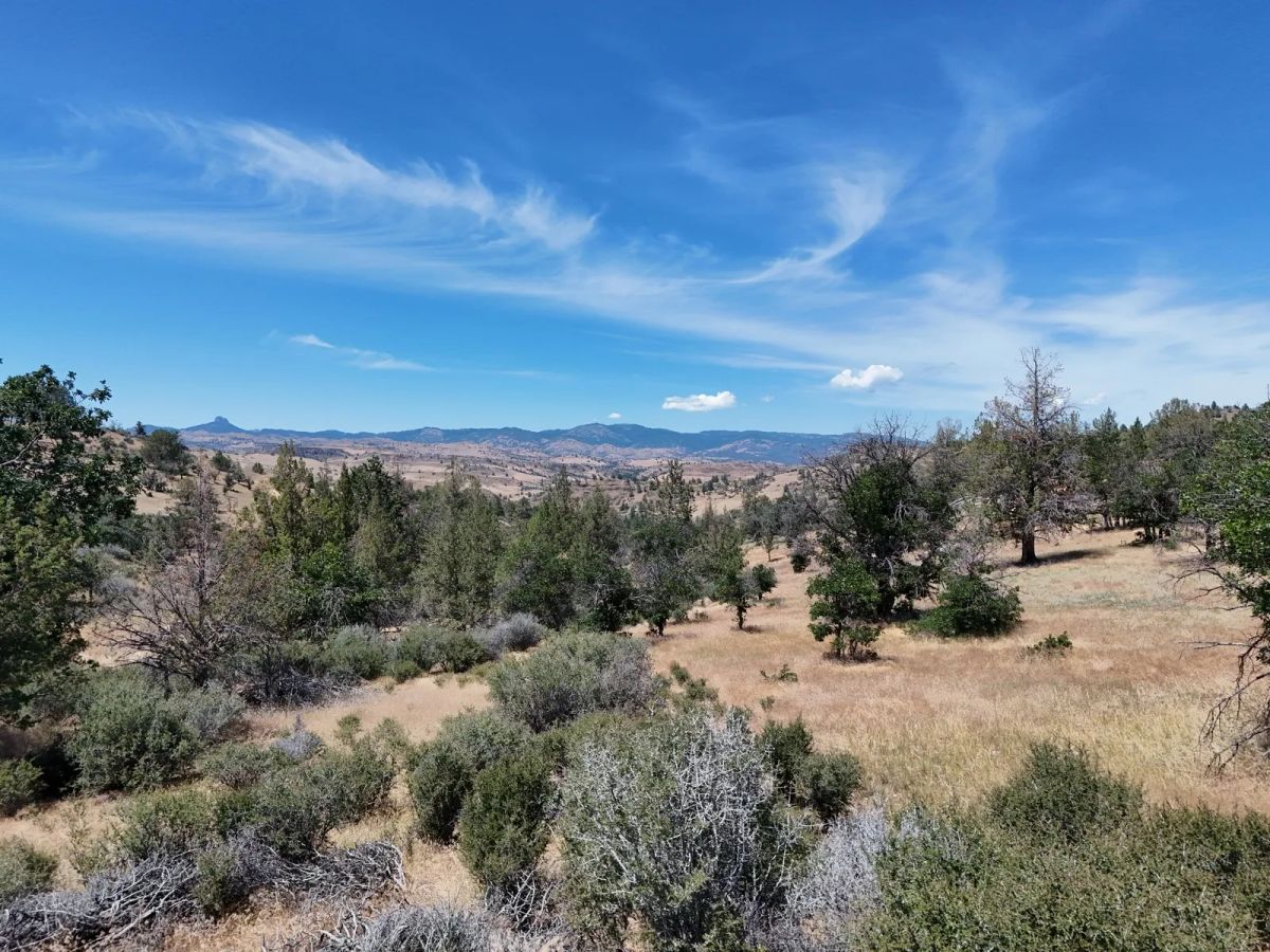 Decorative background for Corner Property near Klamath River image 13
