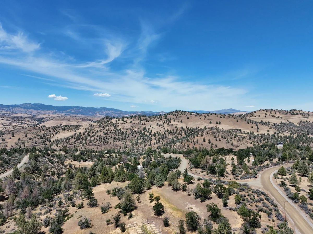 Decorative background for Corner Property near Klamath River image 14