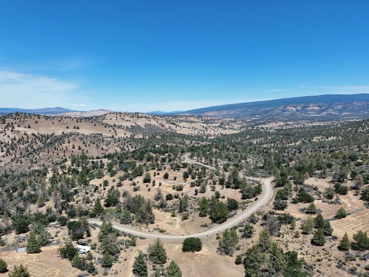 Decorative background for Corner Property near Klamath River image 16