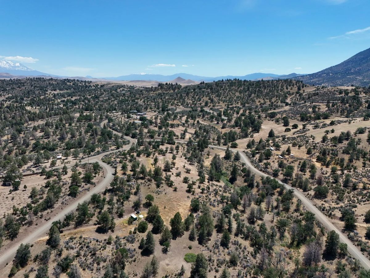 Decorative background for Corner Property near Klamath River image 17