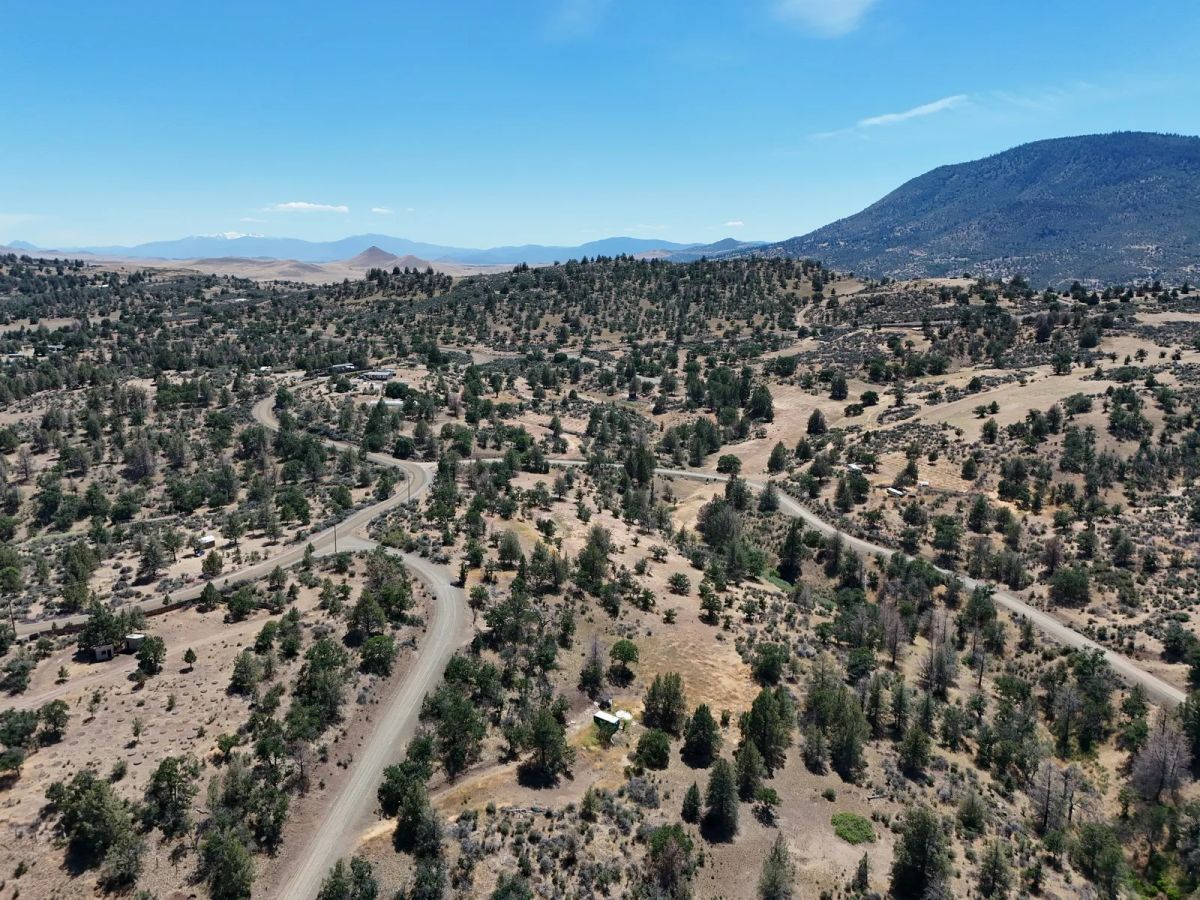 Decorative background for Corner Property near Klamath River image 18