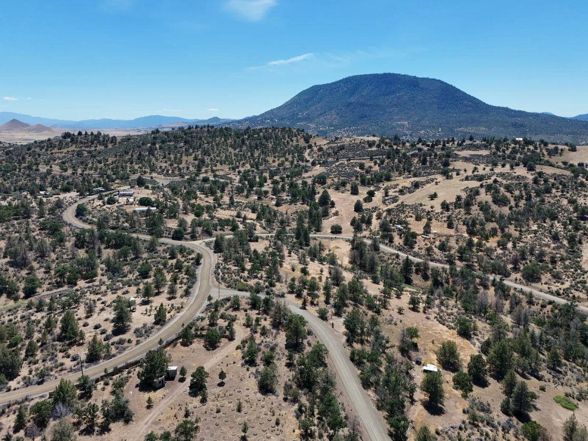 Decorative background for Corner Property near Klamath River image 19