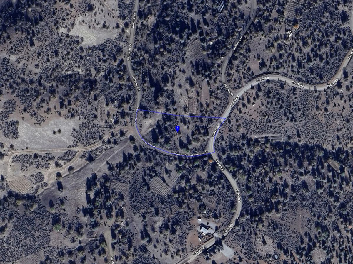 Decorative background for Corner Property near Klamath River image 24