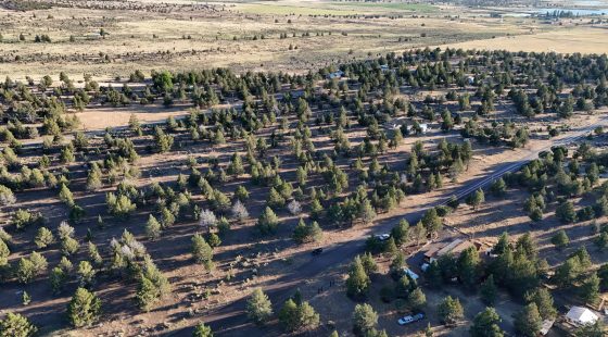 Rolling hills, expansive meadows, and abundant wildlife in Modoc County, CA