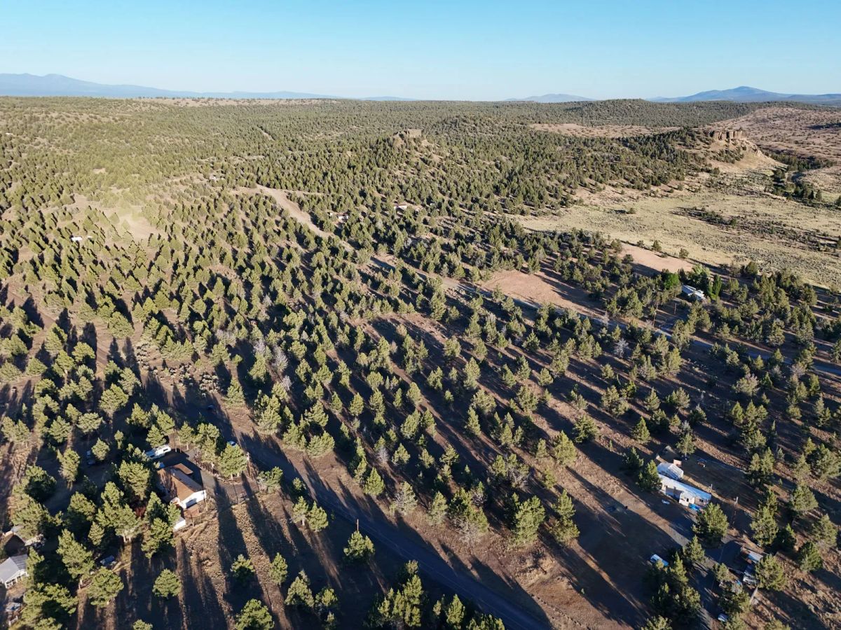 Rolling hills, expansive meadows, and abundant wildlife - Image 4