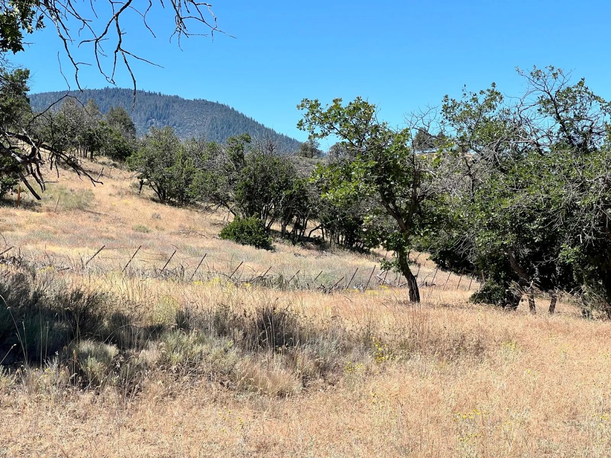 Dead End Street, Mostly Level Property - Image 2