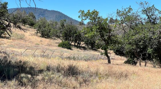 Dead End Street, Mostly Level Property in Siskiyou County, CA