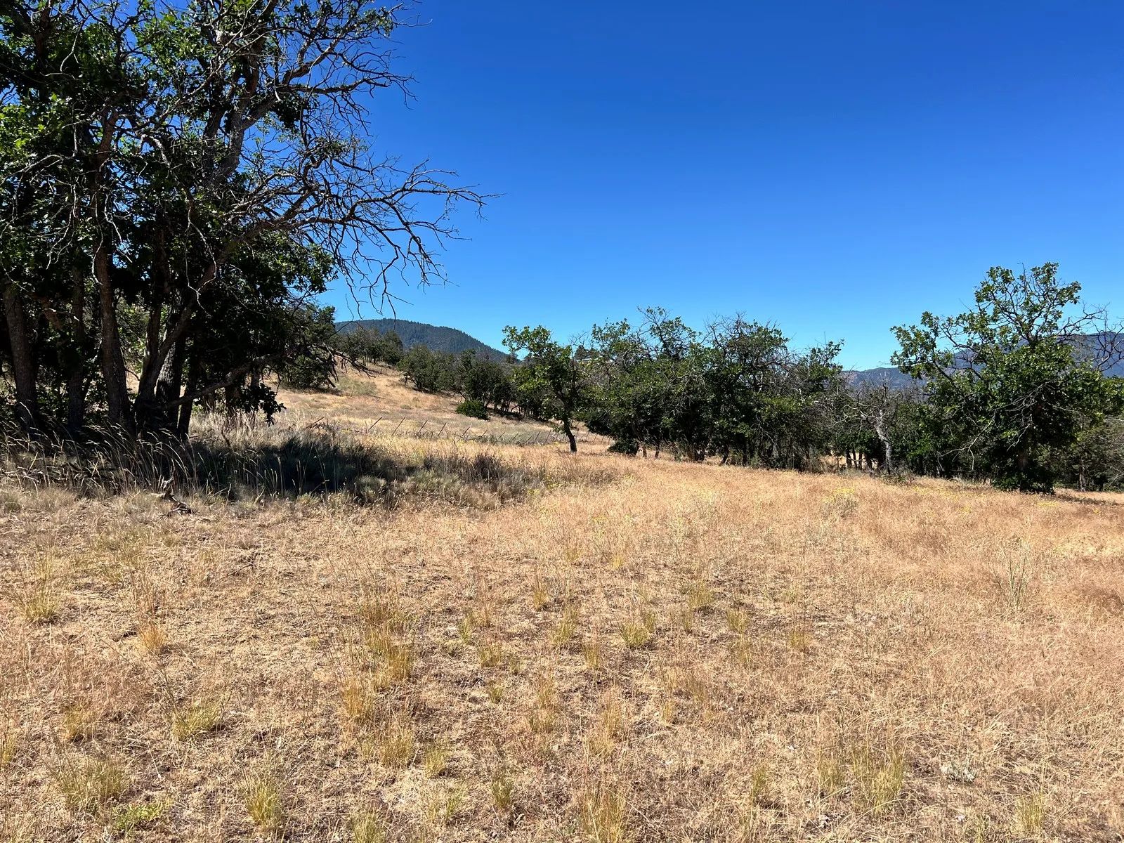 Dead End Street, Mostly Level Property in Siskiyou County, CA