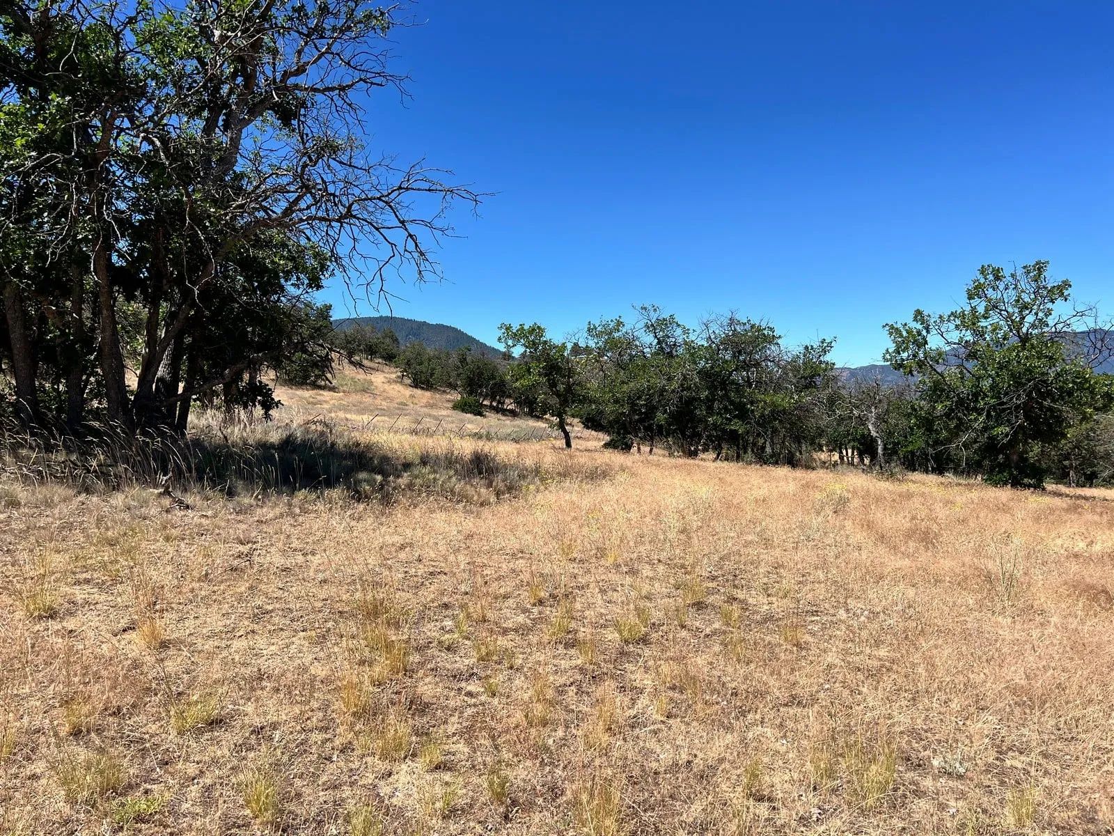 Dead End Street, Mostly Level Property in Siskiyou County, CA