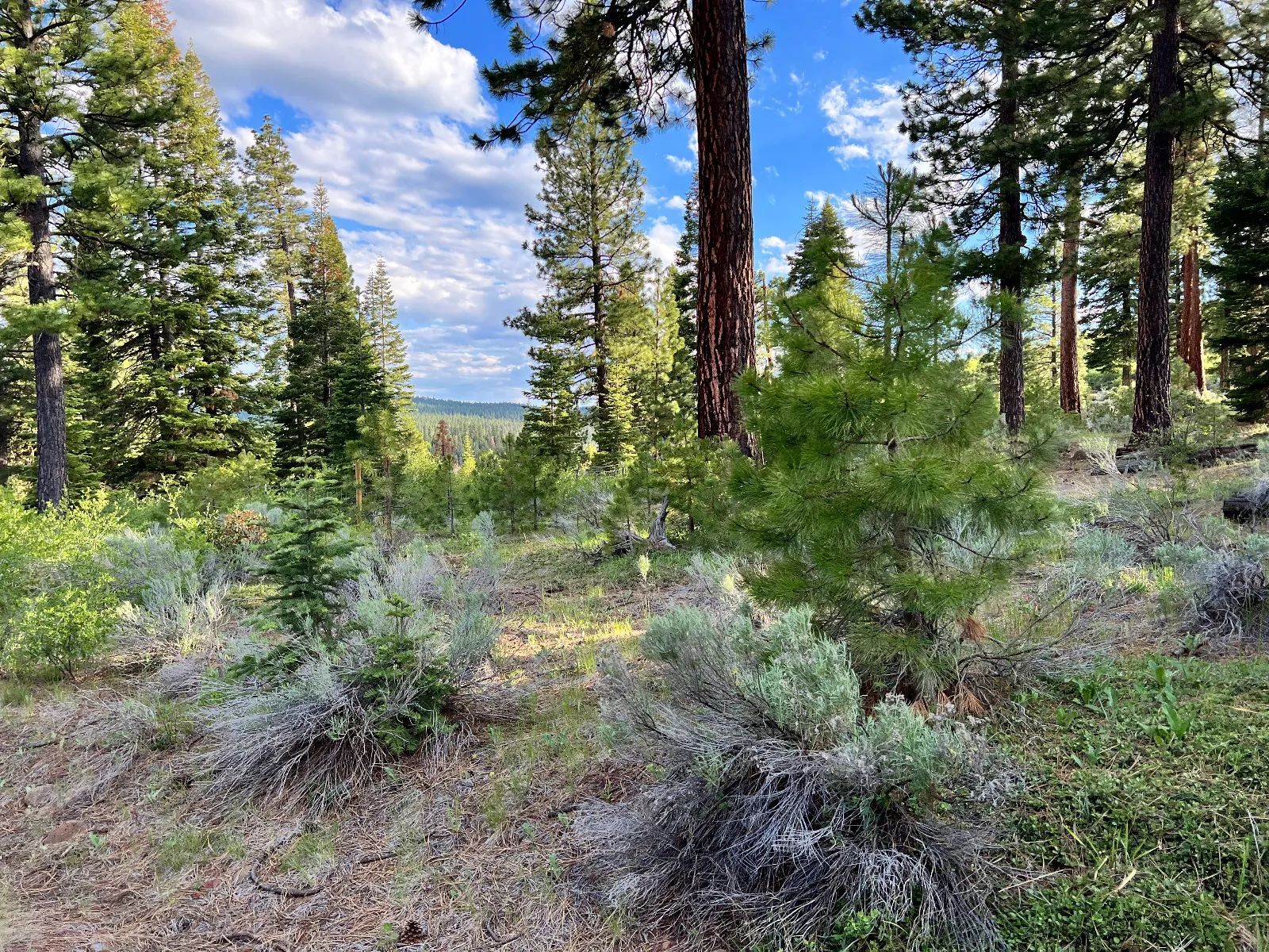 Power Close, Countless Outdoor Activities in Modoc County, CA