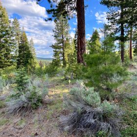 Power Close, Countless Outdoor Activities in Modoc County, CA
