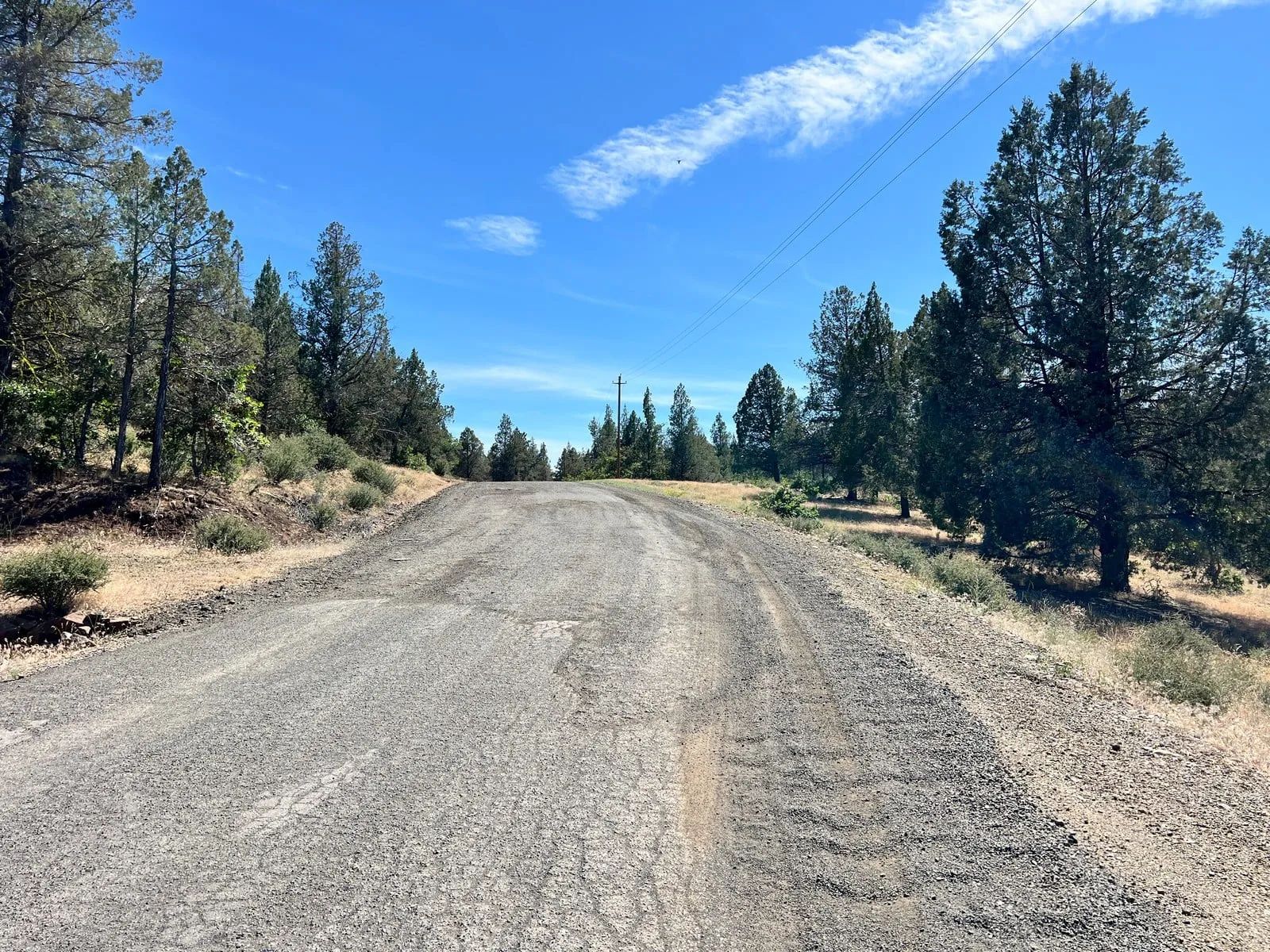 Mostly Treed Property near town of Hornbrook CA