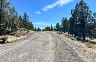 Mostly Treed Property near town of Hornbrook CA