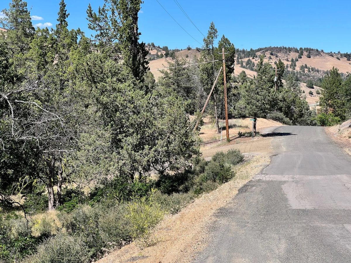 Mostly Treed Property near town of Hornbrook CA - Image 2