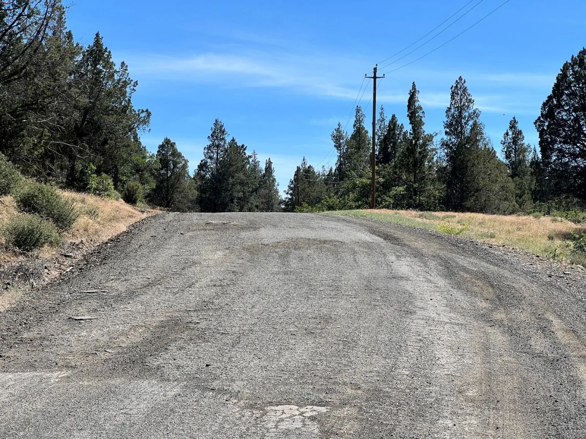 Mostly Treed Property near town of Hornbrook CA - Image 3