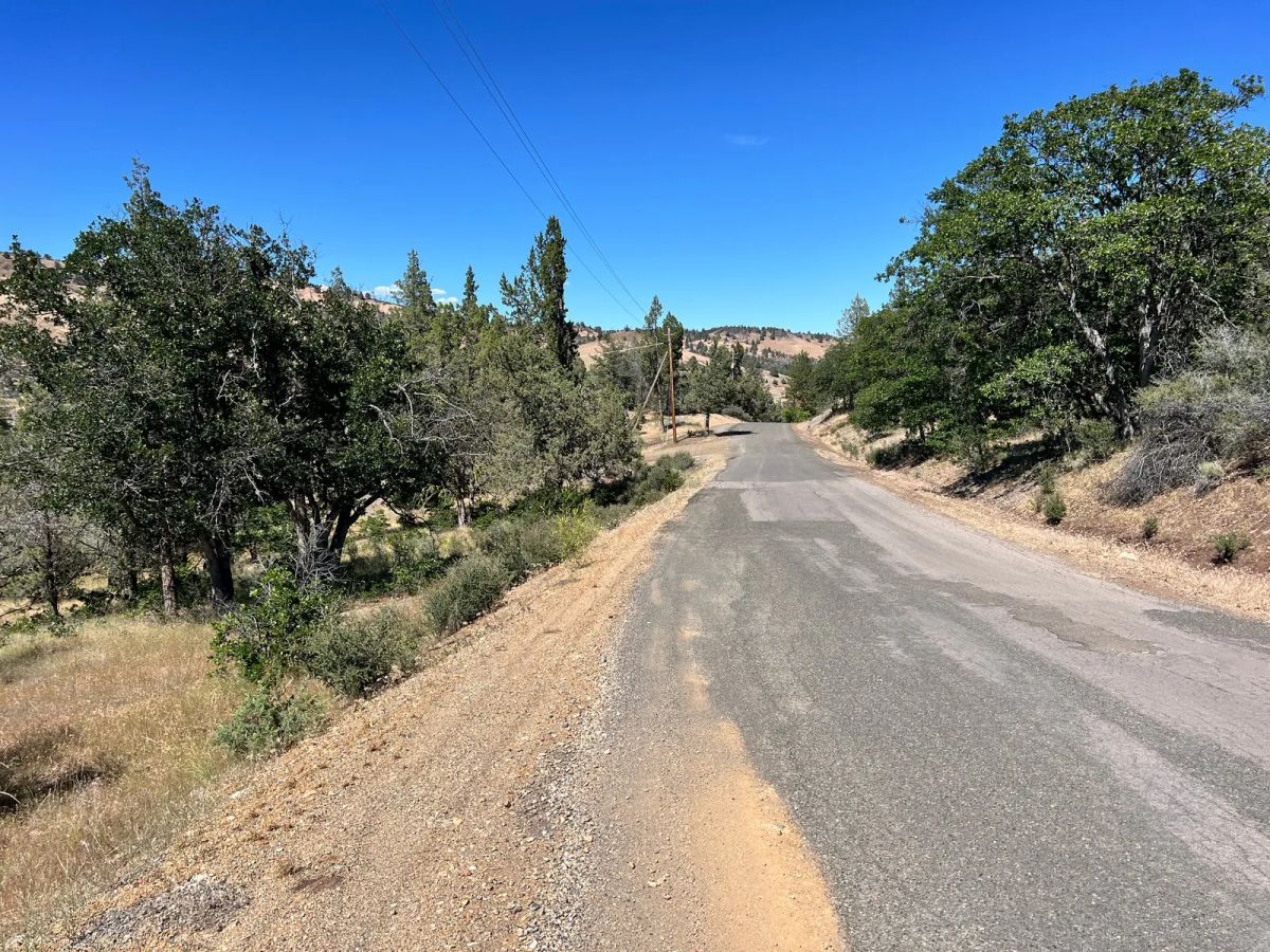 Mostly Treed Property near town of Hornbrook CA - Image 4