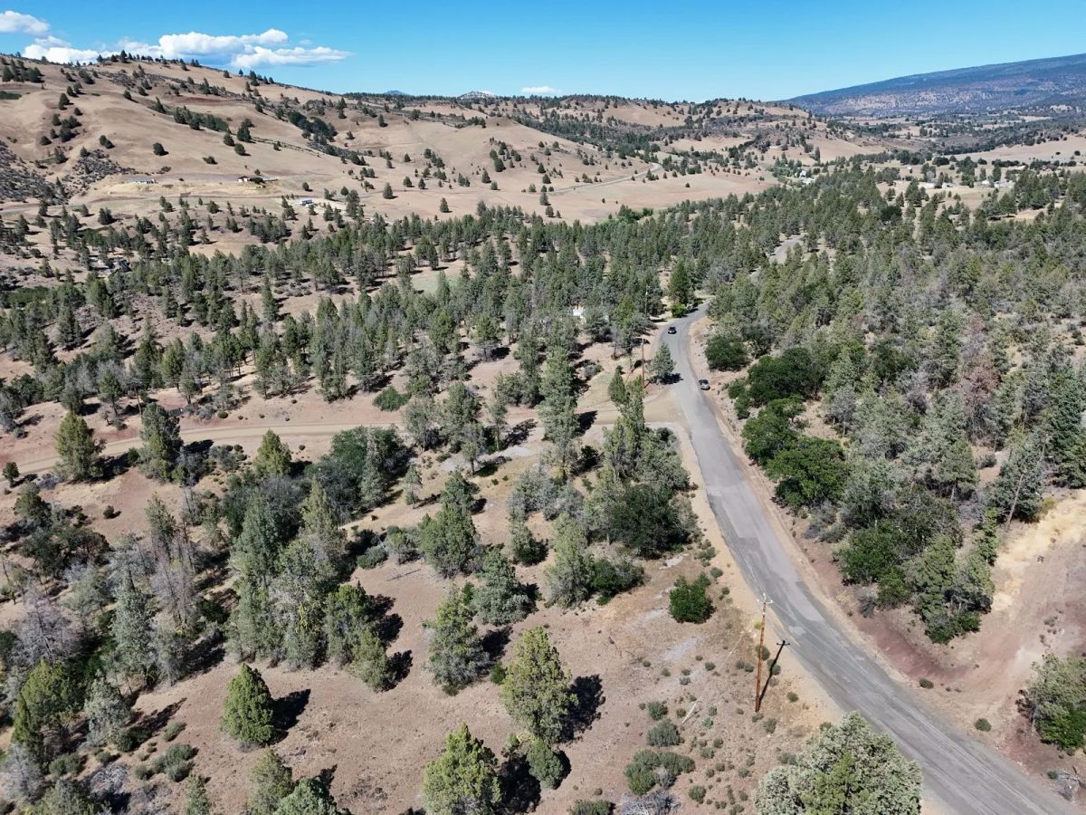 Decorative background for Mostly Treed Property near town of Hornbrook CA image 12