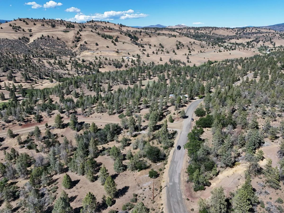 Decorative background for Mostly Treed Property near town of Hornbrook CA image 13