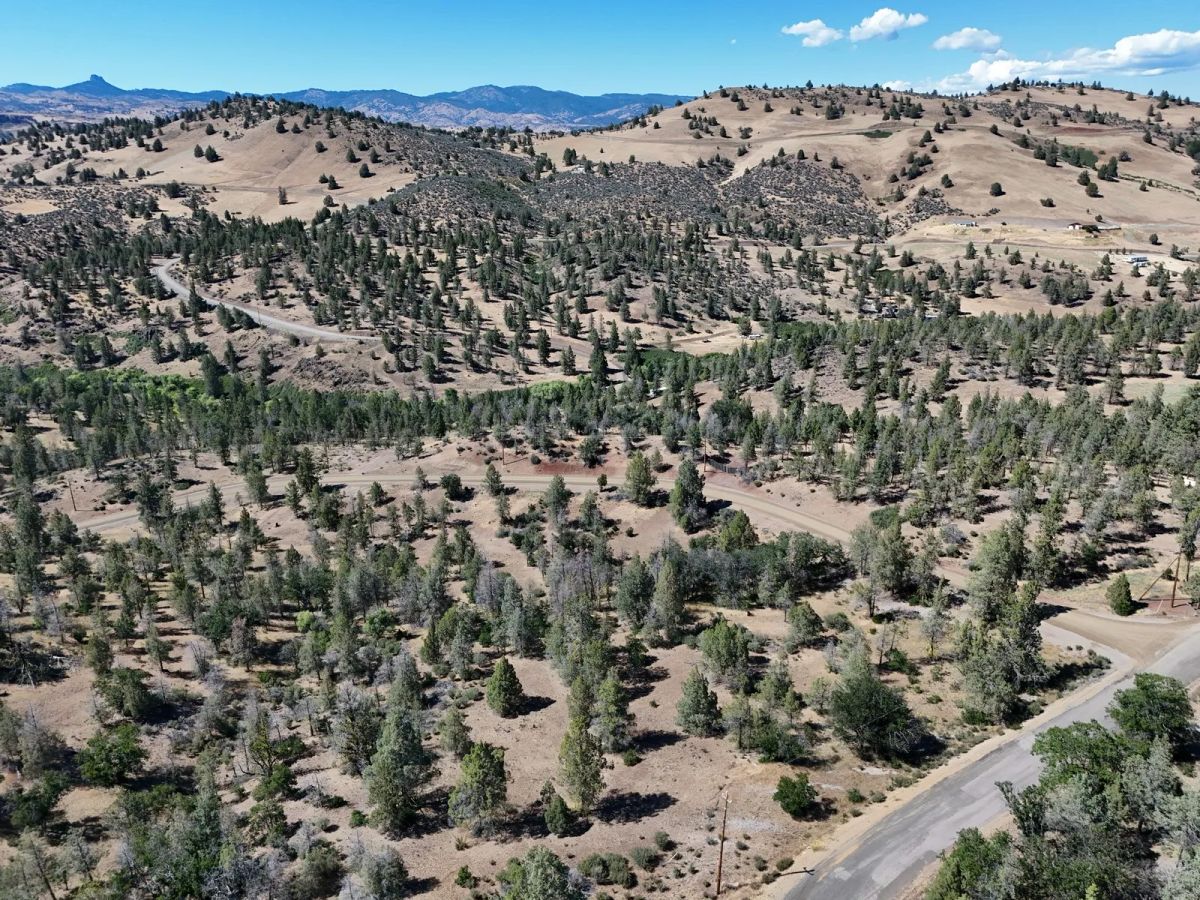 Decorative background for Mostly Treed Property near town of Hornbrook CA image 14