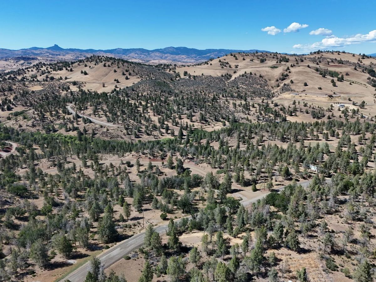 Decorative background for Mostly Treed Property near town of Hornbrook CA image 15