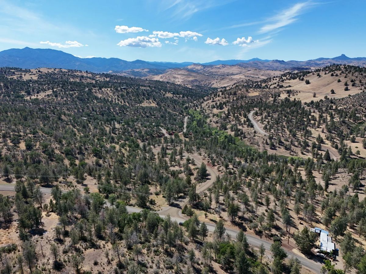 Decorative background for Mostly Treed Property near town of Hornbrook CA image 17