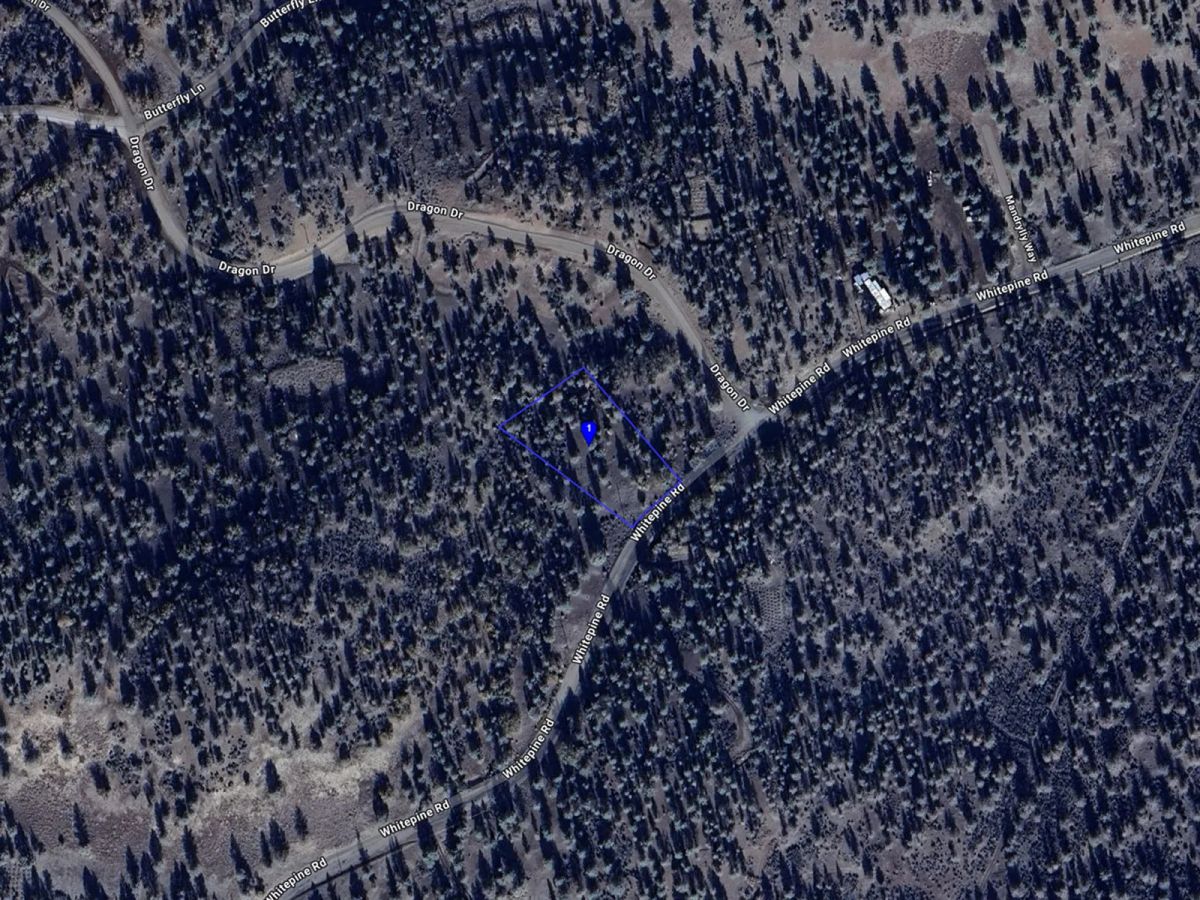 Decorative background for Mostly Treed Property near town of Hornbrook CA image 24