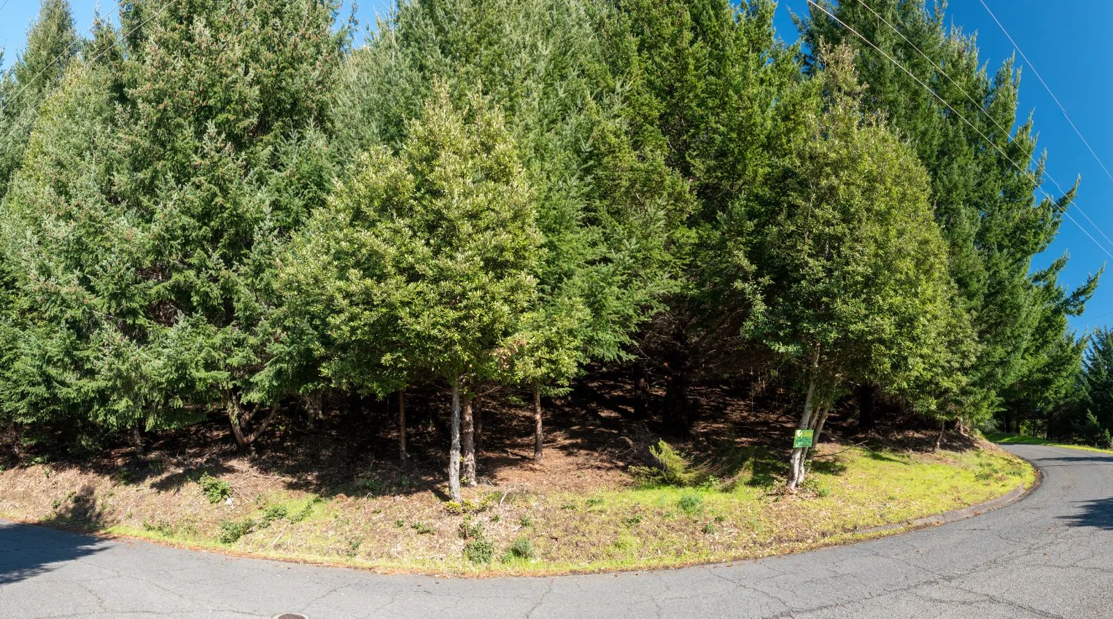 Dual Road Frontage, Power, Great Views Possible in Humboldt County, CA