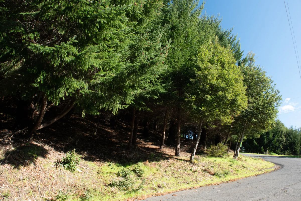 Dual Road Frontage, Power, Great Views Possible - Image 2