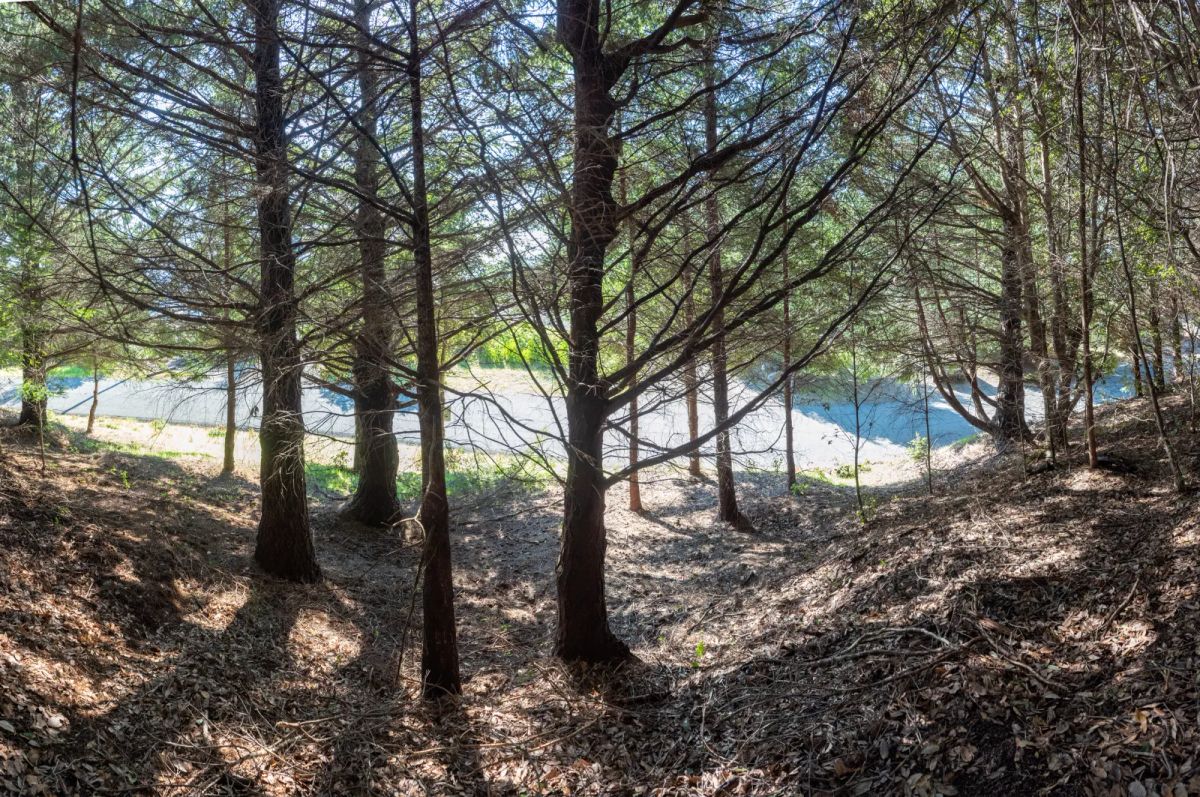 Dual Road Frontage, Power, Great Views Possible - Image 3