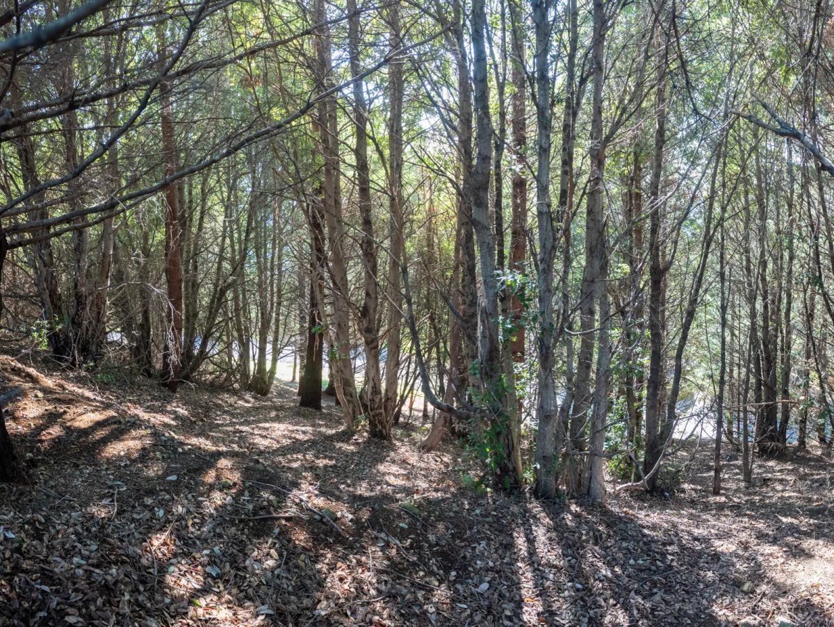 Decorative background for Dual Road Frontage, Power, Great Views Possible image 5