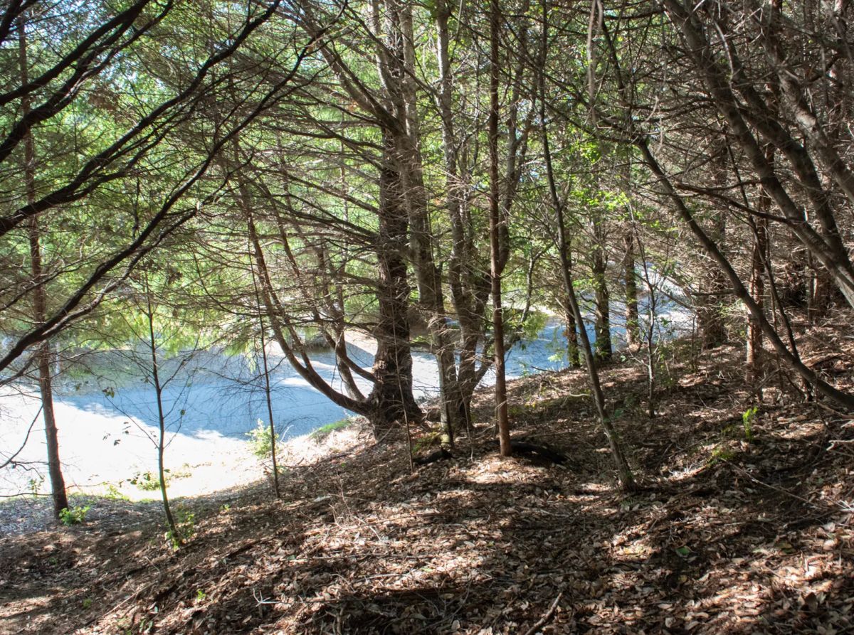 Decorative background for Dual Road Frontage, Power, Great Views Possible image 7