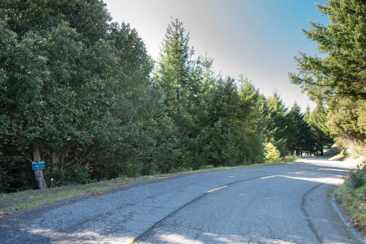 Decorative background for Dual Road Frontage, Power, Great Views Possible image 8