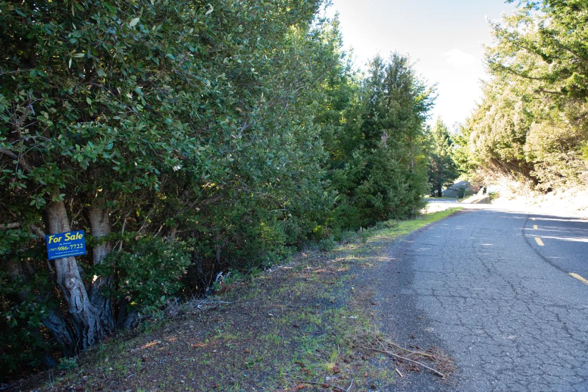 Decorative background for Dual Road Frontage, Power, Great Views Possible image 10