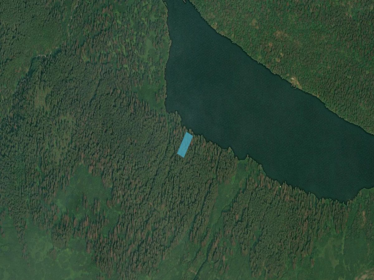 Decorative background for Lakefront Chilkat Lake image 26
