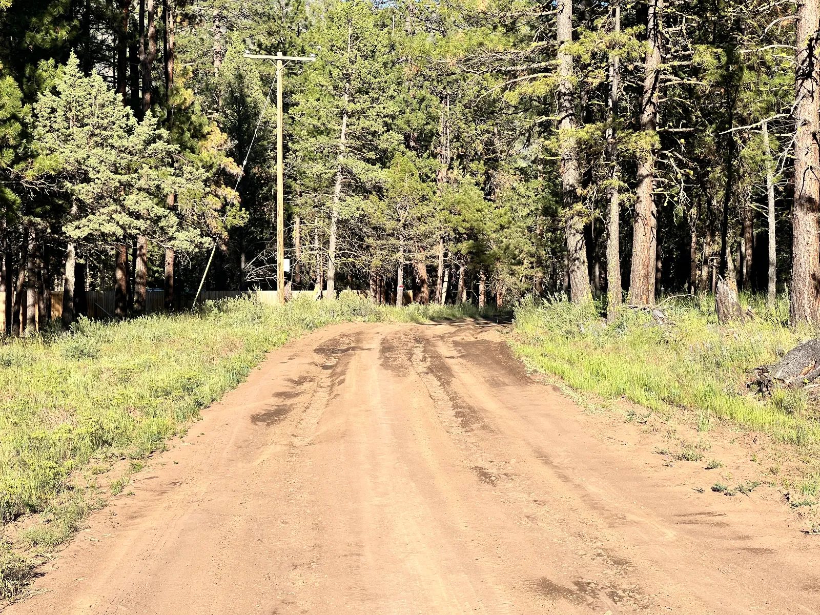 Smooth Dirt Road in Siskiyou County, CA