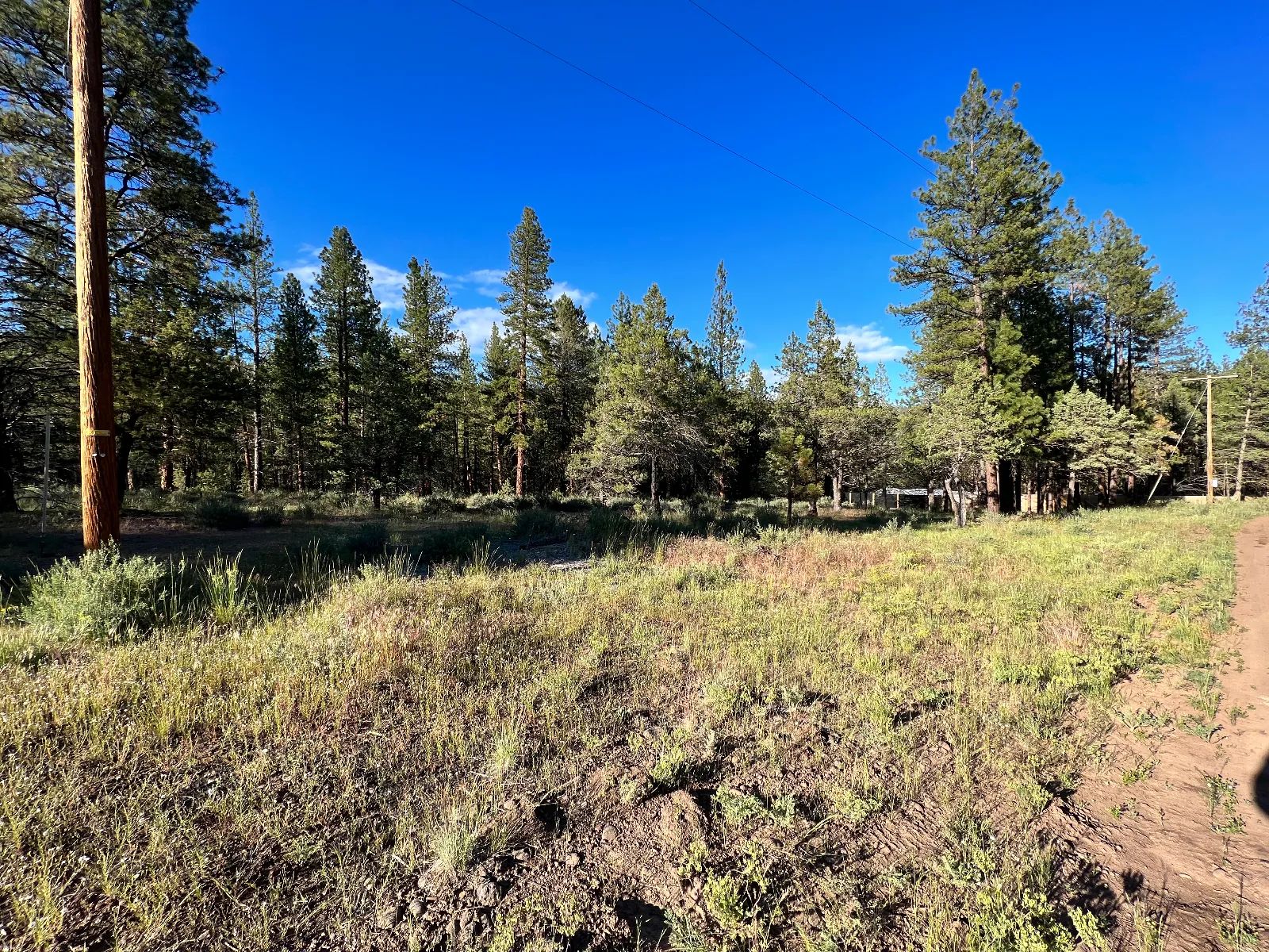 Smooth Dirt Road in Siskiyou County, CA