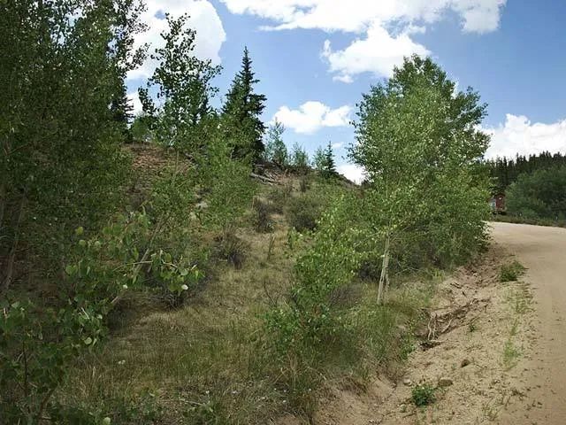 Power and Phone at the Street in Park County, CO