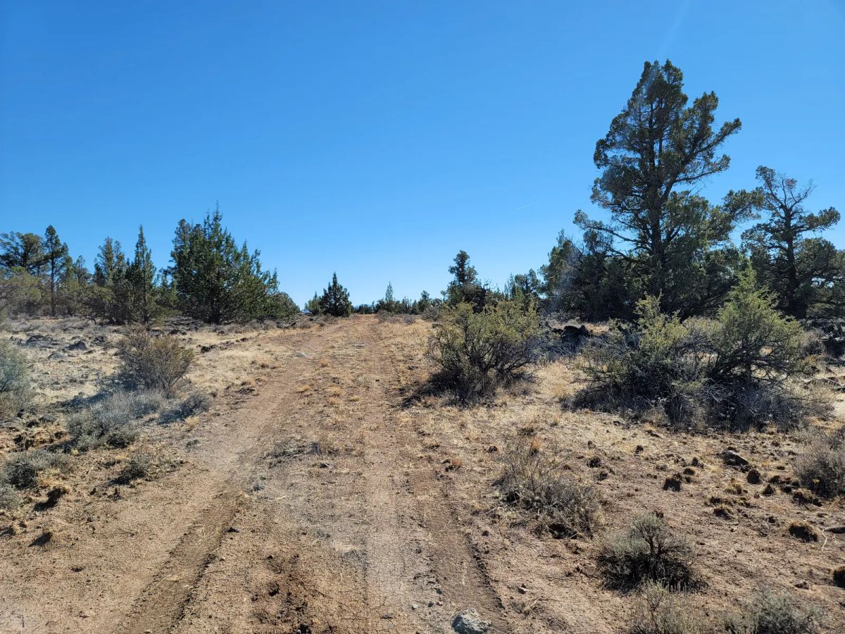 Discover Vacant Land with Beautiful Views – Perfect for Camping and Hiking - Main image
