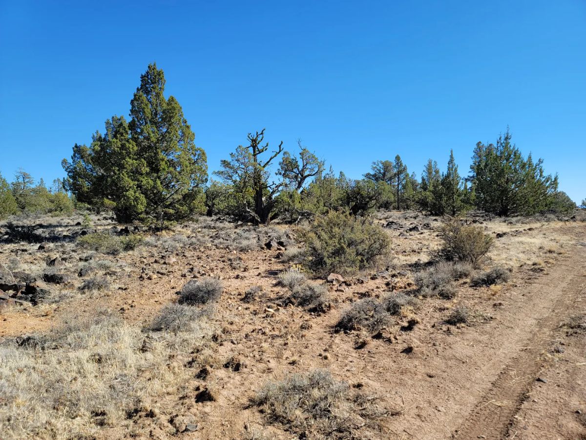 Discover Vacant Land with Beautiful Views – Perfect for Camping and Hiking - Image 2