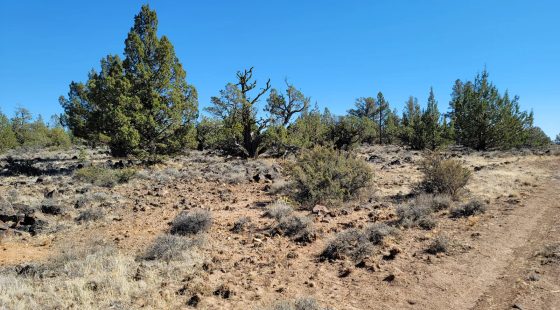 Discover Vacant Land with Beautiful Views – Perfect for Camping and Hiking in Modoc County, CA