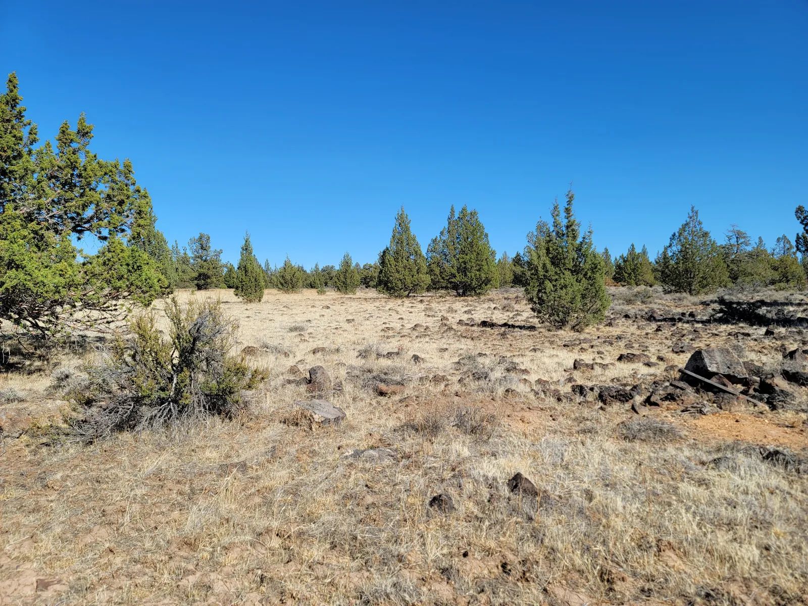 Discover Vacant Land with Beautiful Views – Perfect for Camping and Hiking in Modoc County, CA